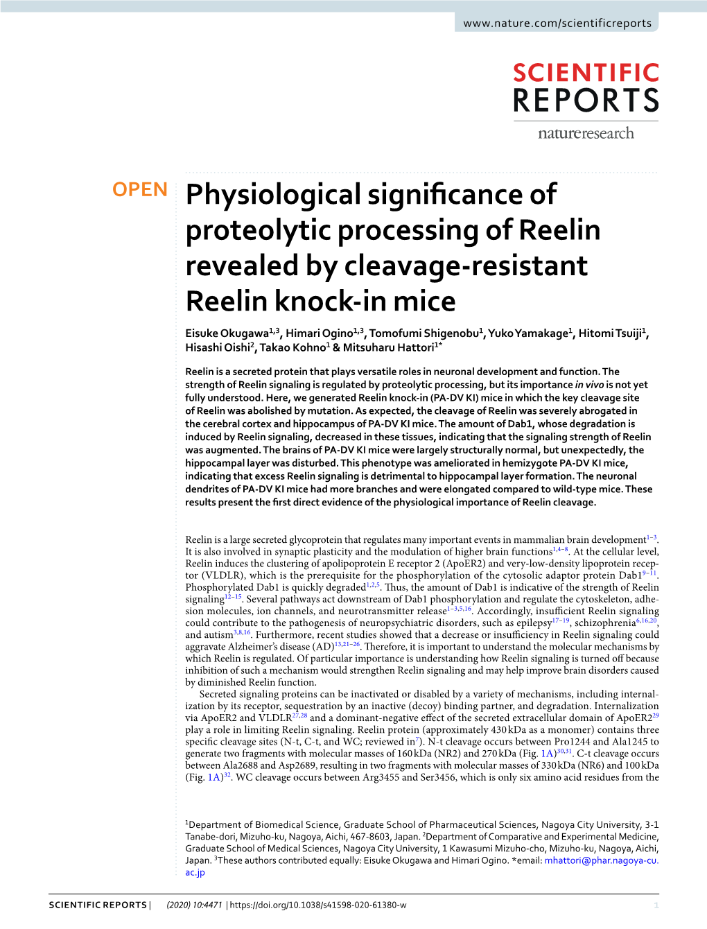 Physiological Significance of Proteolytic Processing of Reelin
