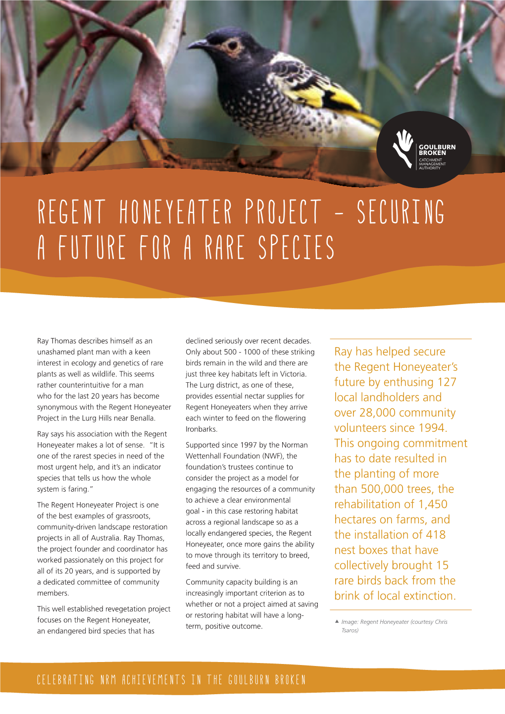 Regent Honeyeater Project - Securing a Future for a Rare Species