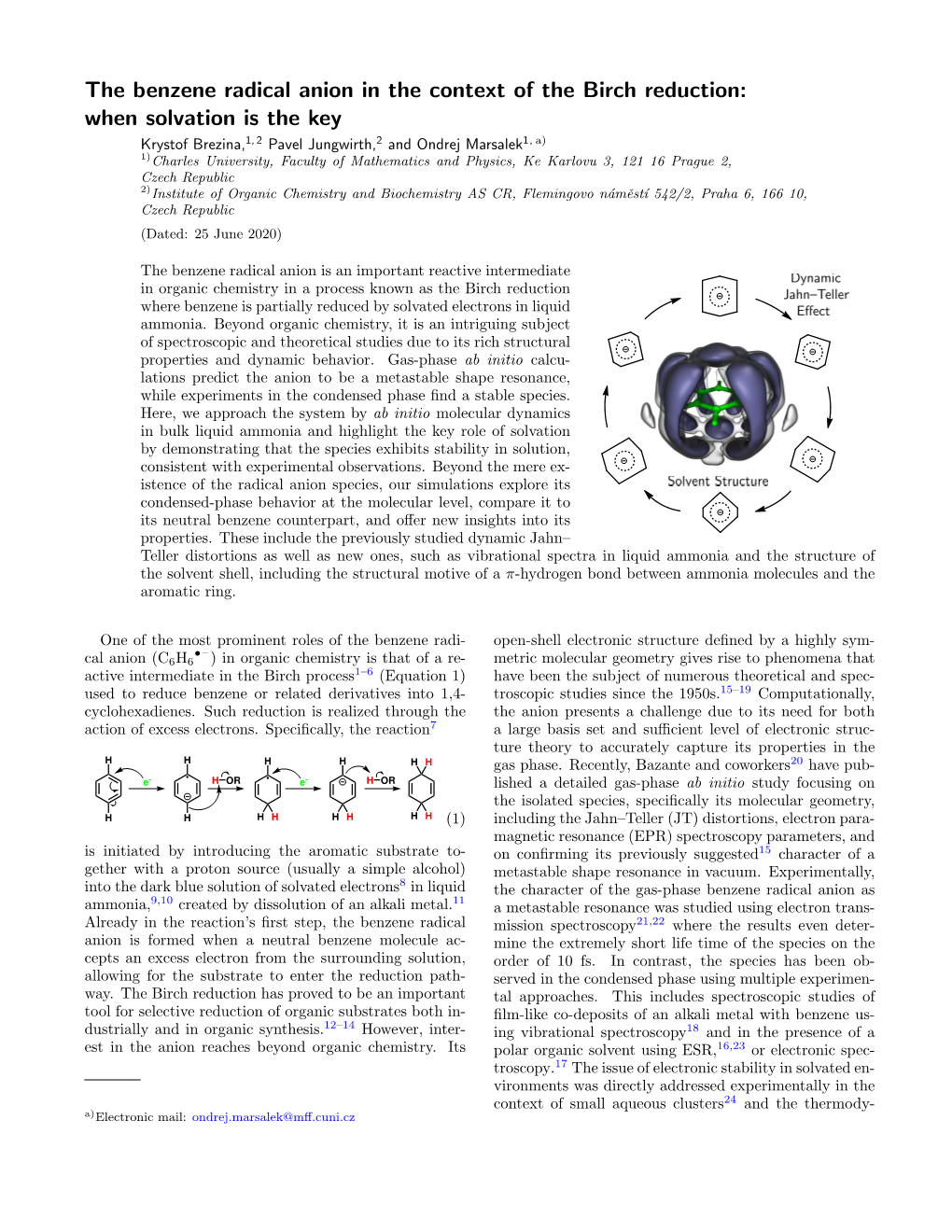 The Benzene Radical Anion in the Context of the Birch Reduction