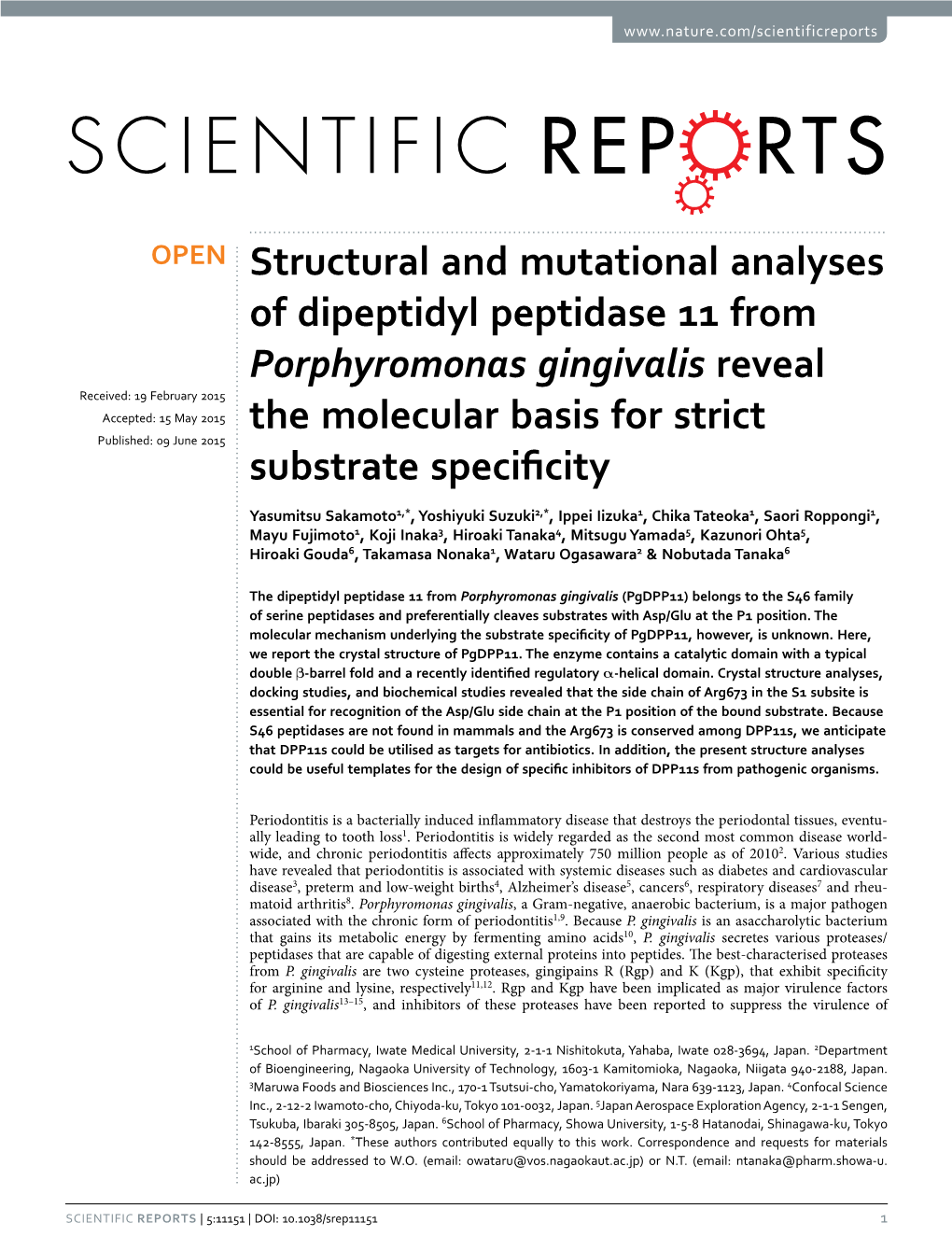 Structural and Mutational Analyses of Dipeptidyl Peptidase 11 from Porphyromonas Gingivalis Reveal the Molecular Basis for Strict Substrate Specificity