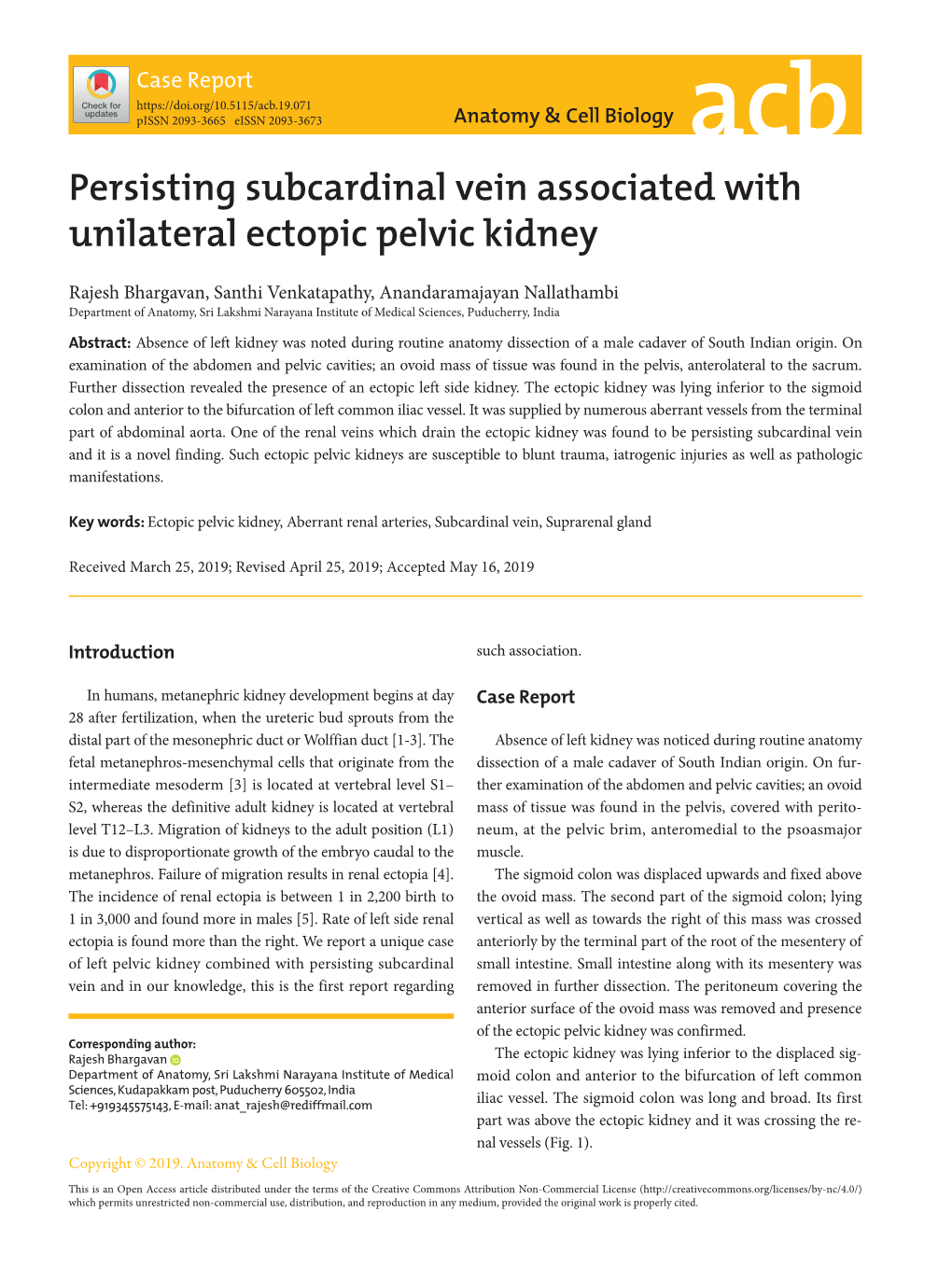 Persisting Subcardinal Vein Associated with Unilateral Ectopic Pelvic Kidney