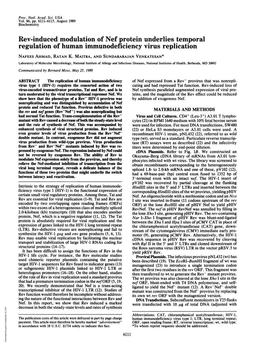 Rev-Induced Modulation of Nef Protein Underlies Temporal Regulation of Human Immunodeficiency Virus Replication NAFEES AHMAD, RATAN K