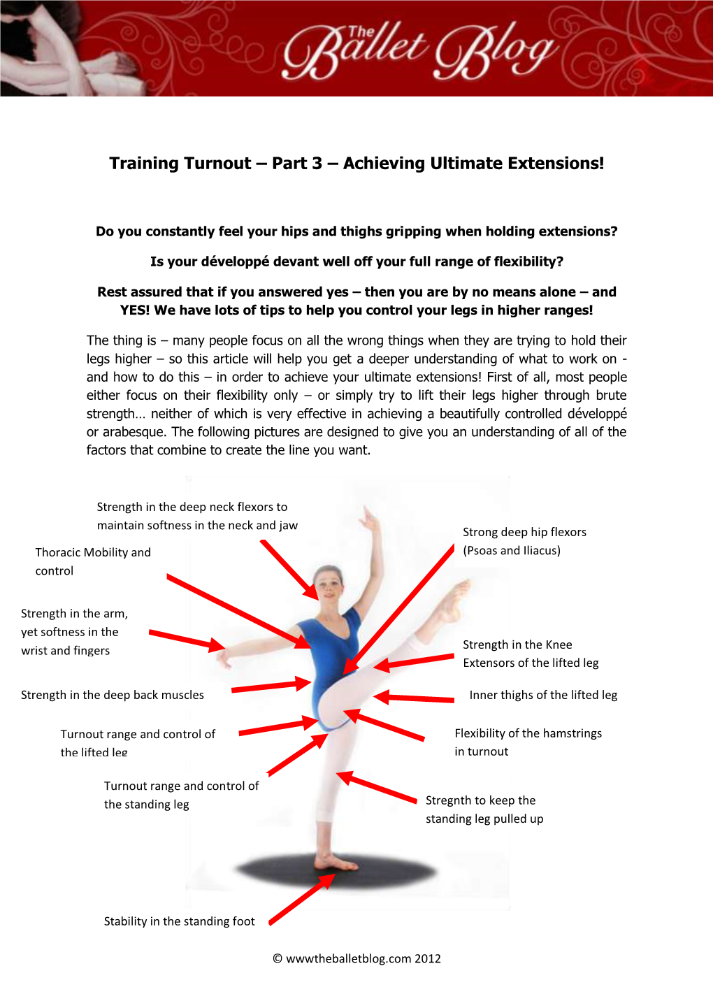 Training Turnout – Part 3 – Achieving Ultimate Extensions!