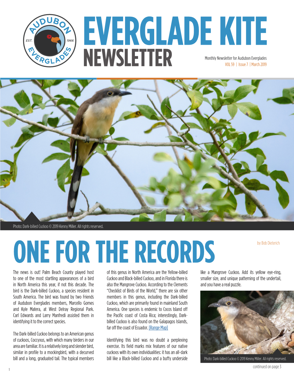 ONE for the RECORDS by Bob Dieterich the News Is Out! Palm Beach County Played Host of This Genus in North America Are the Yellow-Billed Like a Mangrove Cuckoo