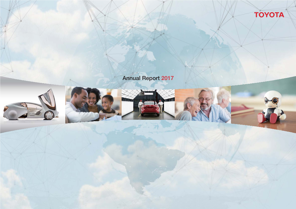 Annual Report 2017