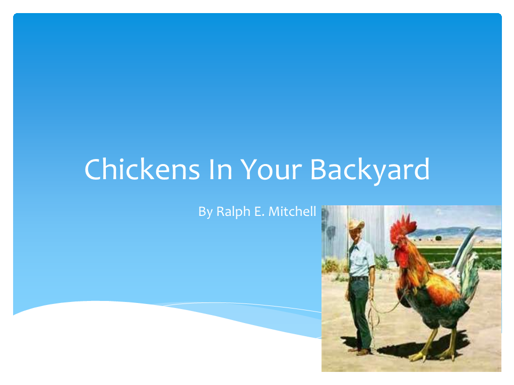 Chickens in Your Backyard
