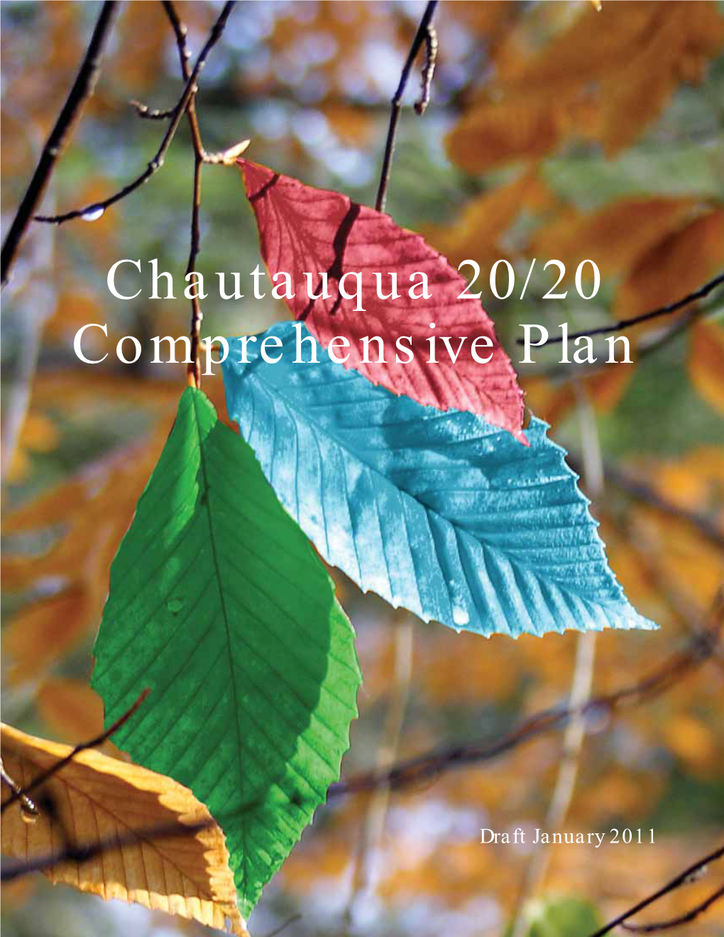 Chautauqua 20/20 Comprehensive Plan