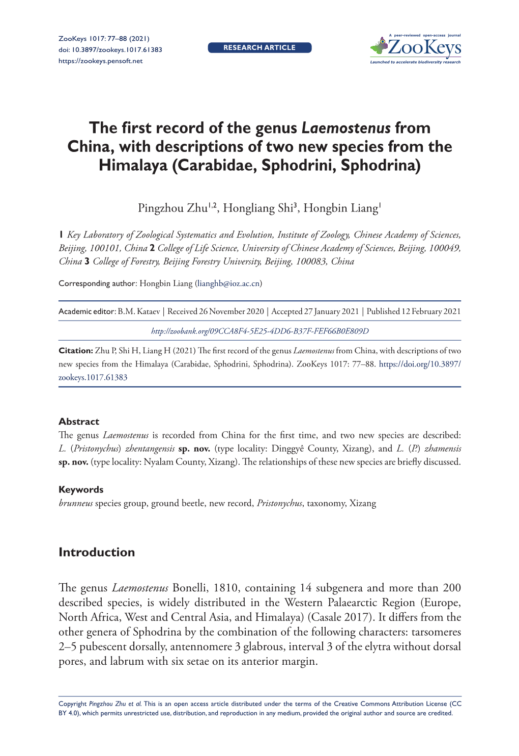 The First Record of the Genus Laemostenus from China, with Descriptions of Two New Species from the Himalaya (Carabidae, Sphodrini, Sphodrina)