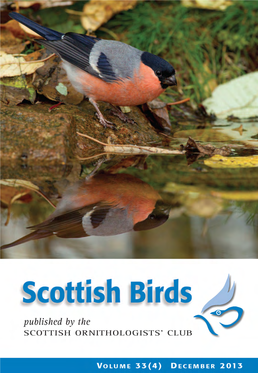Scottish Birds 33:4 (2013)