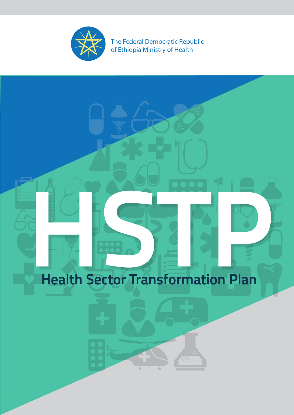 Health Sector Transformation Plan