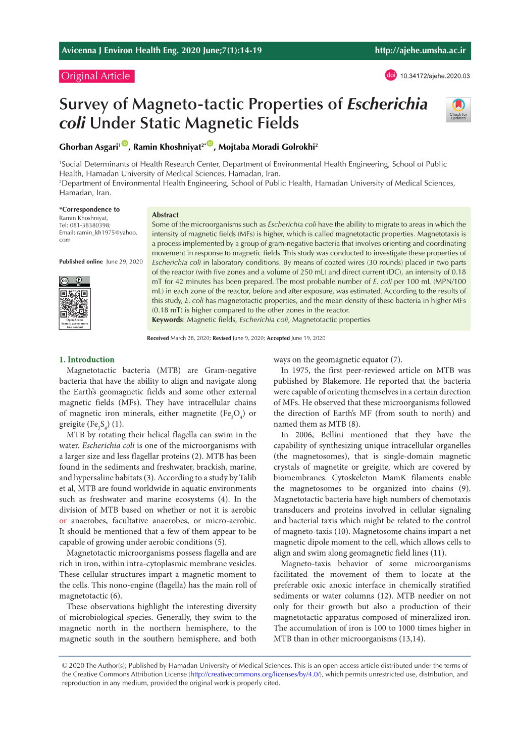 Survey of Magneto-Tactic Properties of Escherichia Coli Under Static Magnetic Fields