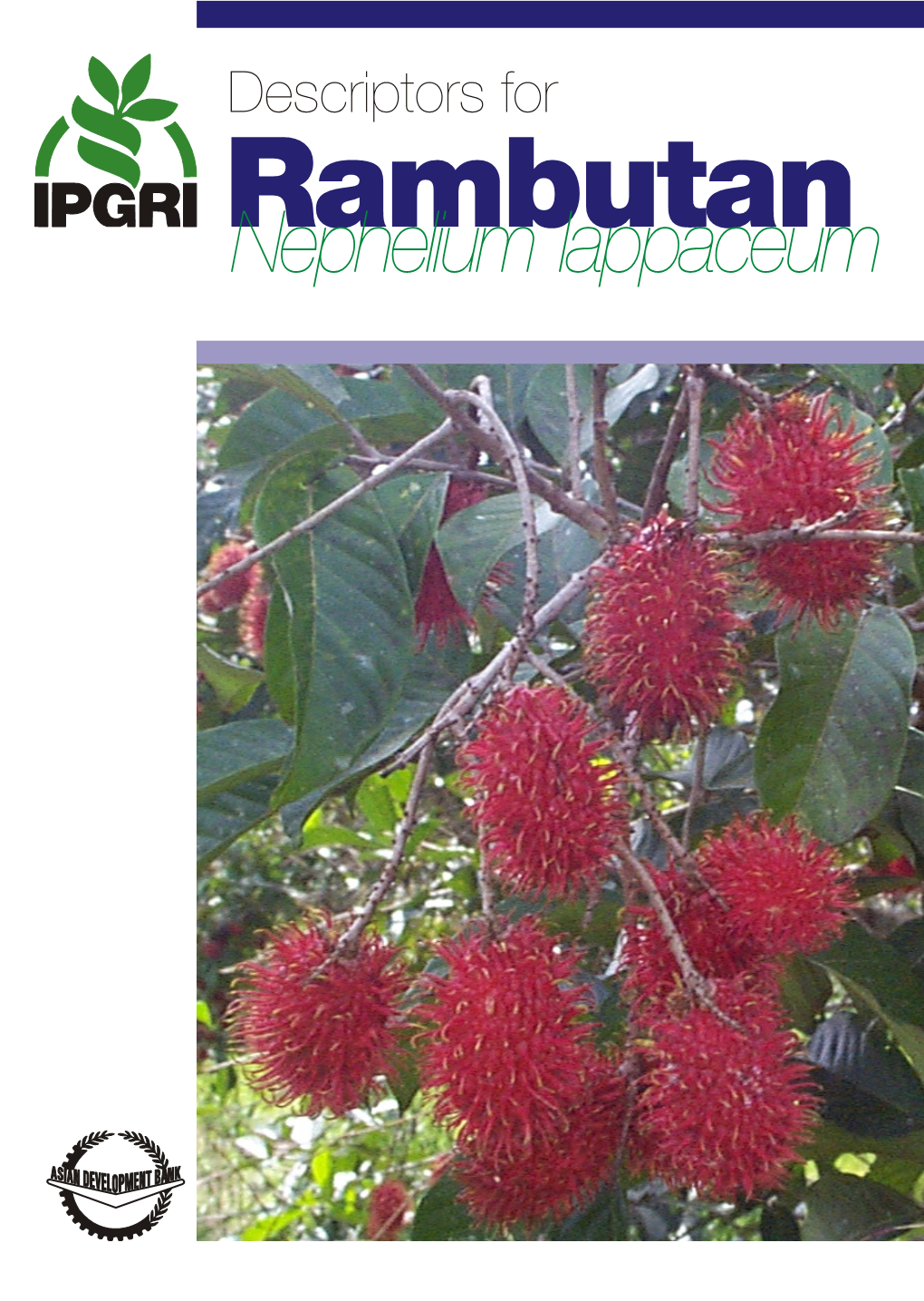Descriptors for Rambutan (Nephelium Lappaceum)