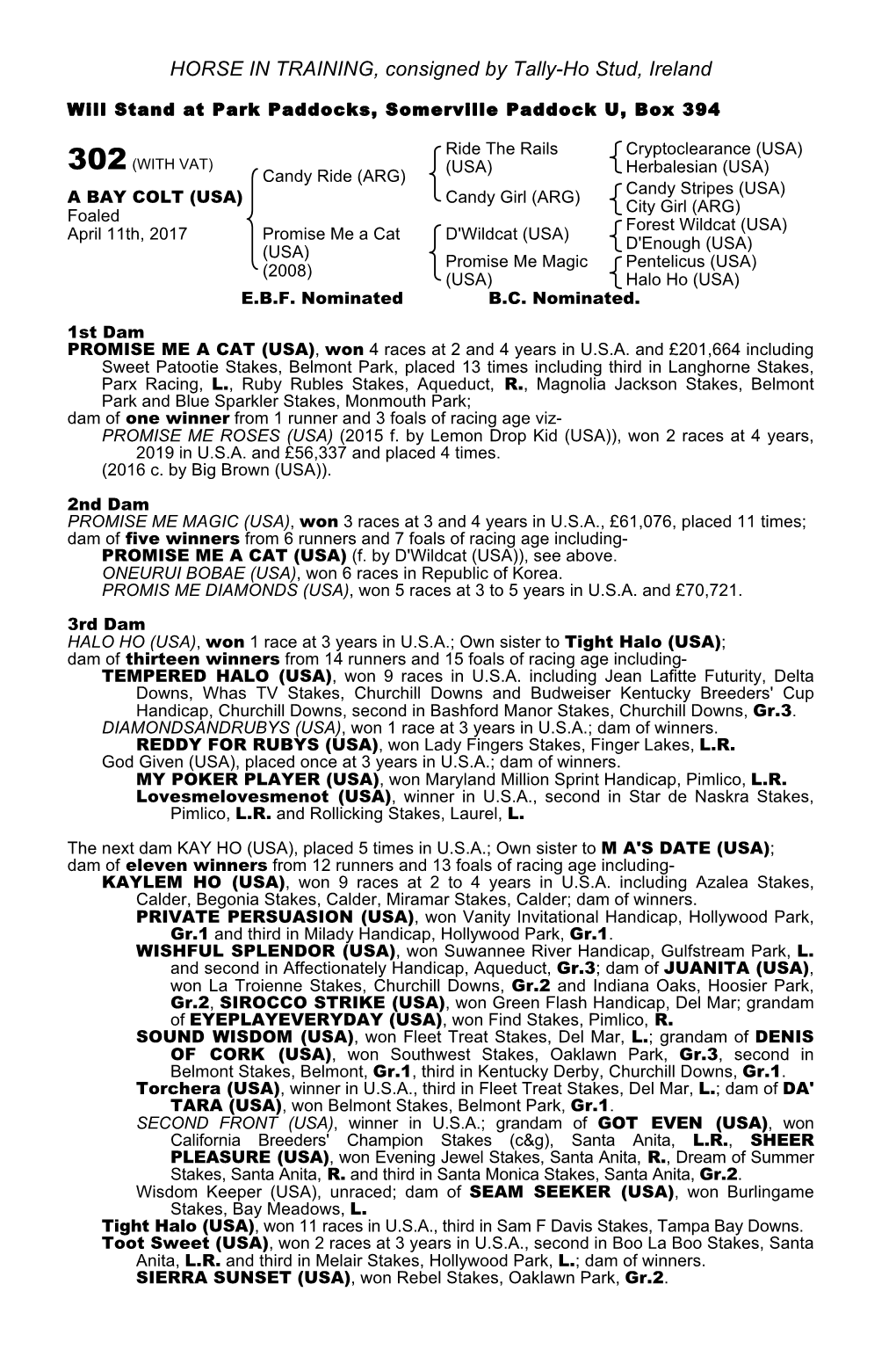 HORSE in TRAINING, Consigned by Tally-Ho Stud, Ireland