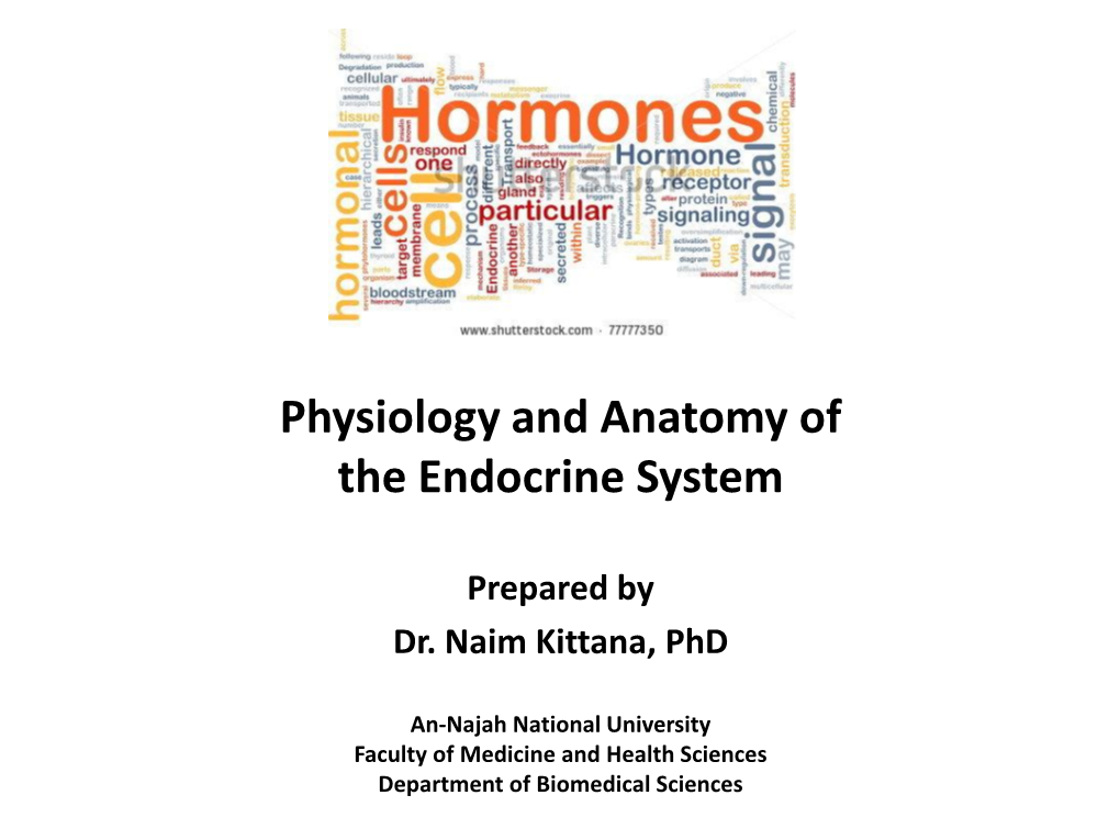 Physiology and Anatomy of the Endocrine System