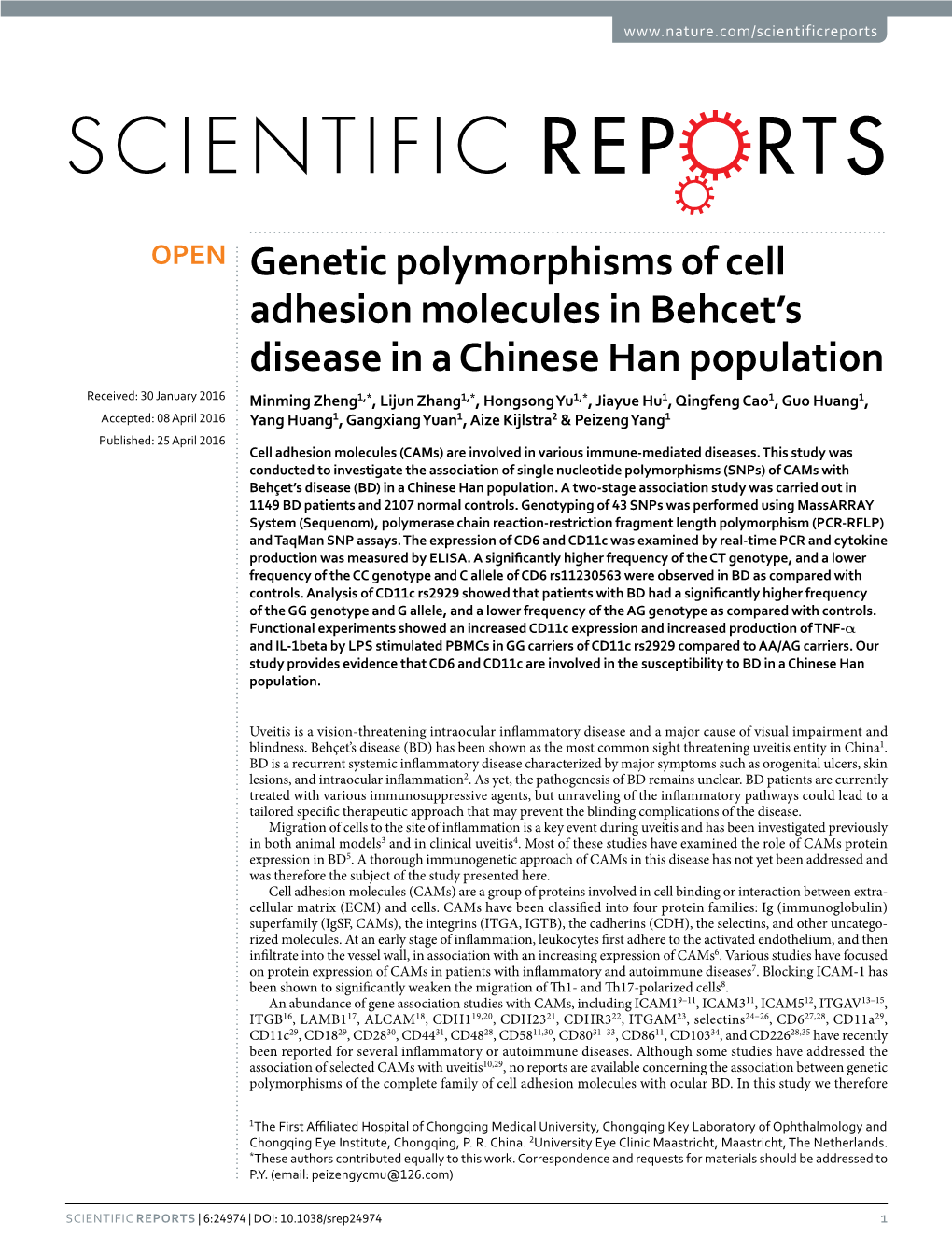 Genetic Polymorphisms of Cell Adhesion Molecules in Behcet's Disease in a Chinese Han Population