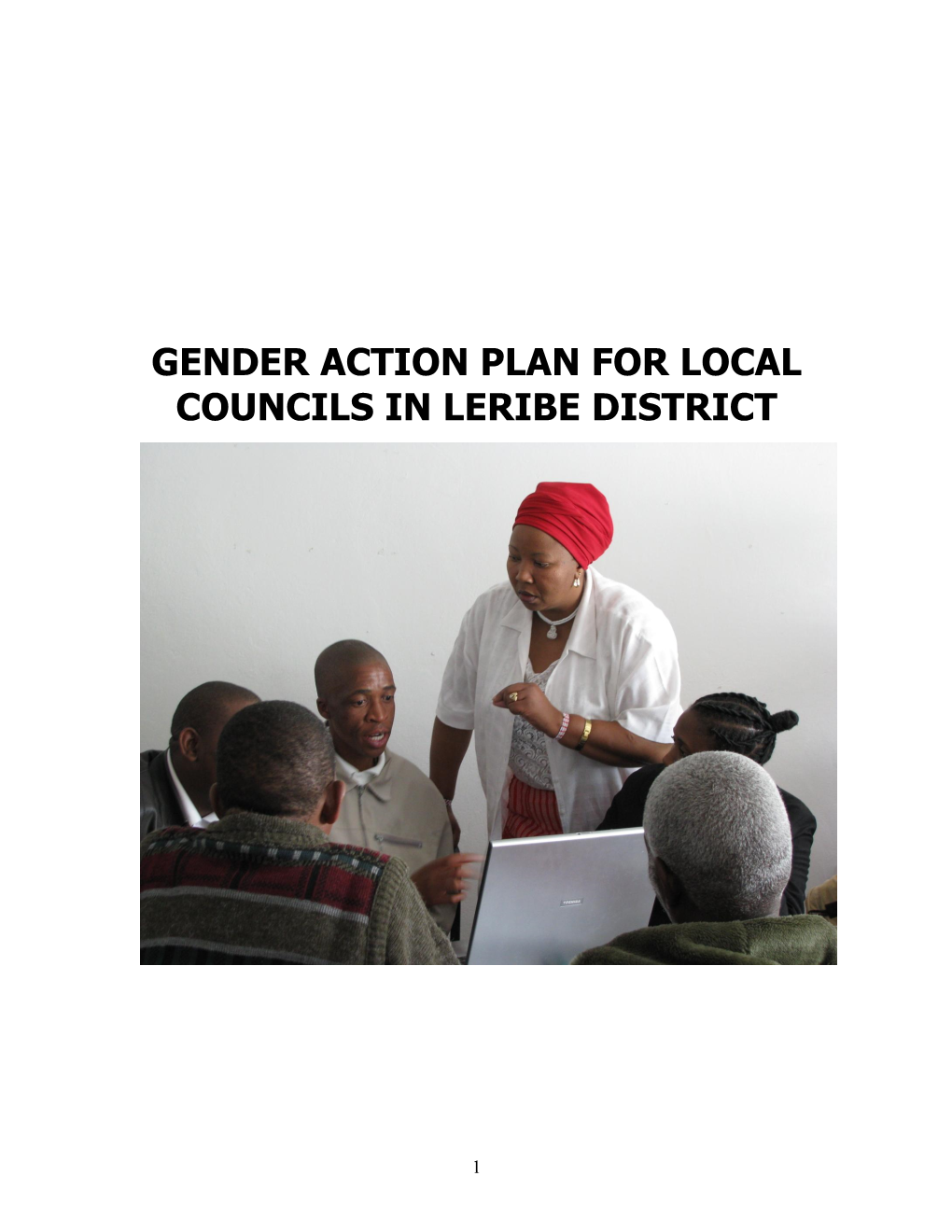 Leribe District Gender Action Plan