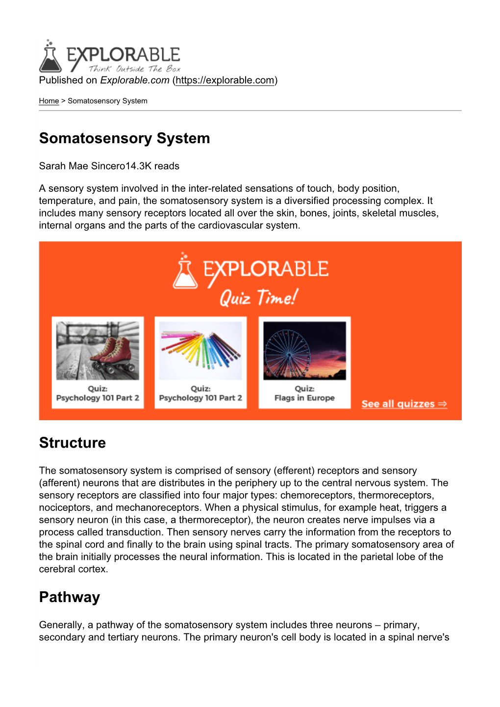 Somatosensory System