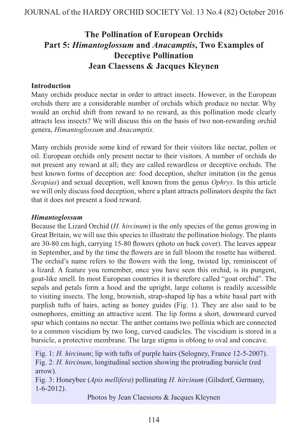 The Pollination of European Orchids Part 5: Himantoglossum and Anacamptis, Two Examples of Deceptive Pollination Jean Claessens & Jacques Kleynen