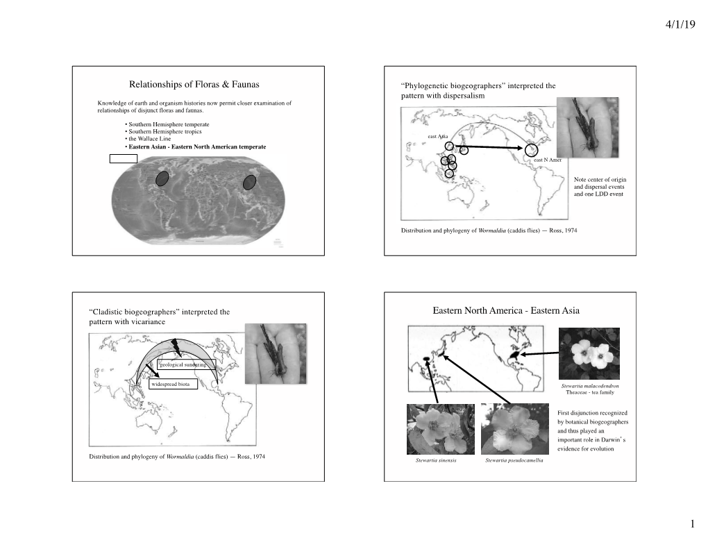 Relationships of Floras & Faunas Eastern North America