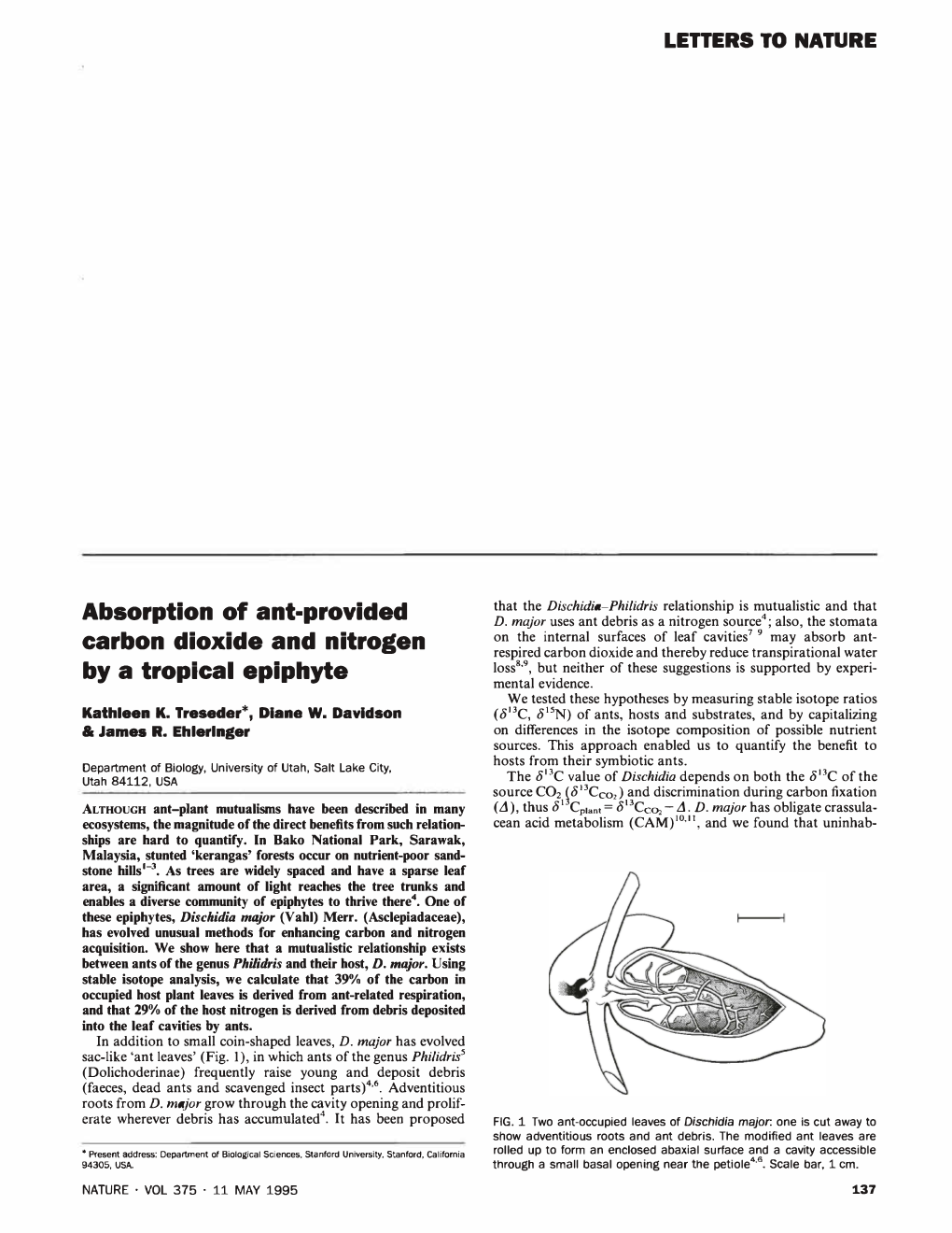 Absorption of Ant-Provided Carbon Dioxide and Nitrogen by a Tropical