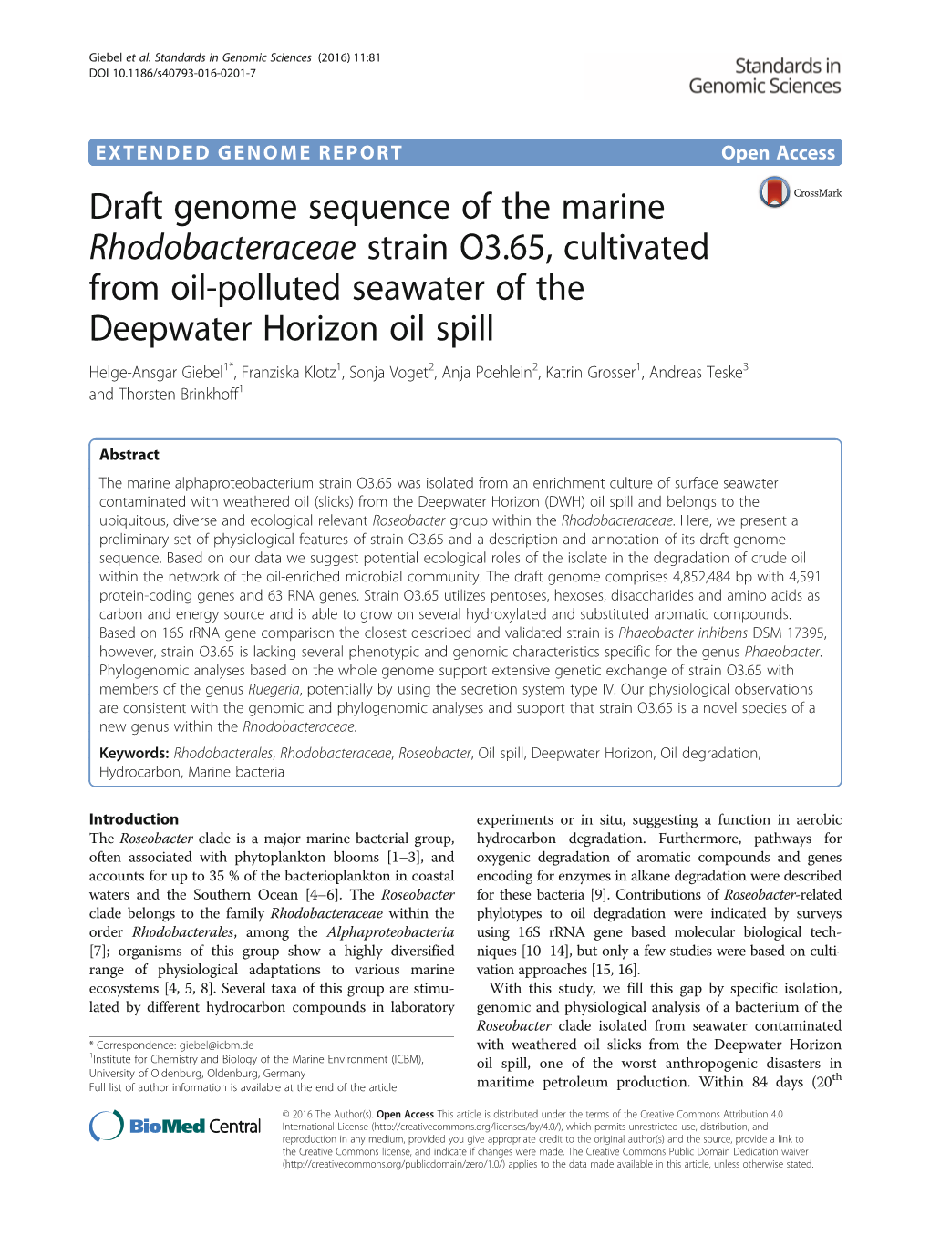 Draft Genome Sequence of the Marine Rhodobacteraceae Strain O3.65