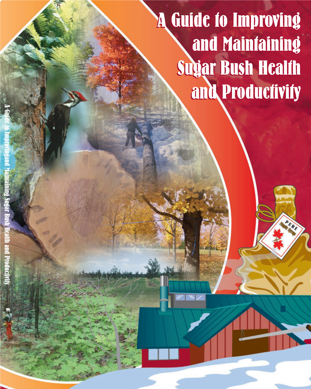 A Guide to Improving & Maintaining Sugar Bush Health & Productivity