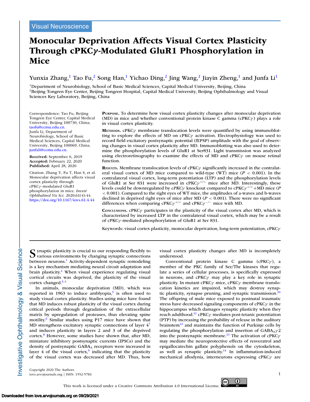 Monocular Deprivation Affects Visual Cortex Plasticity Through Cpkcγ-Modulated Glur1 Phosphorylation in Mice