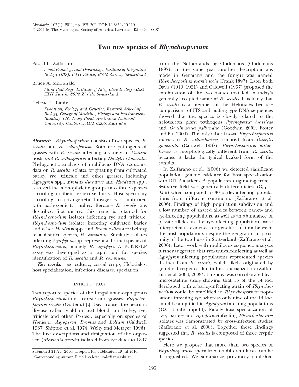 Two New Species of Rhynchosporium