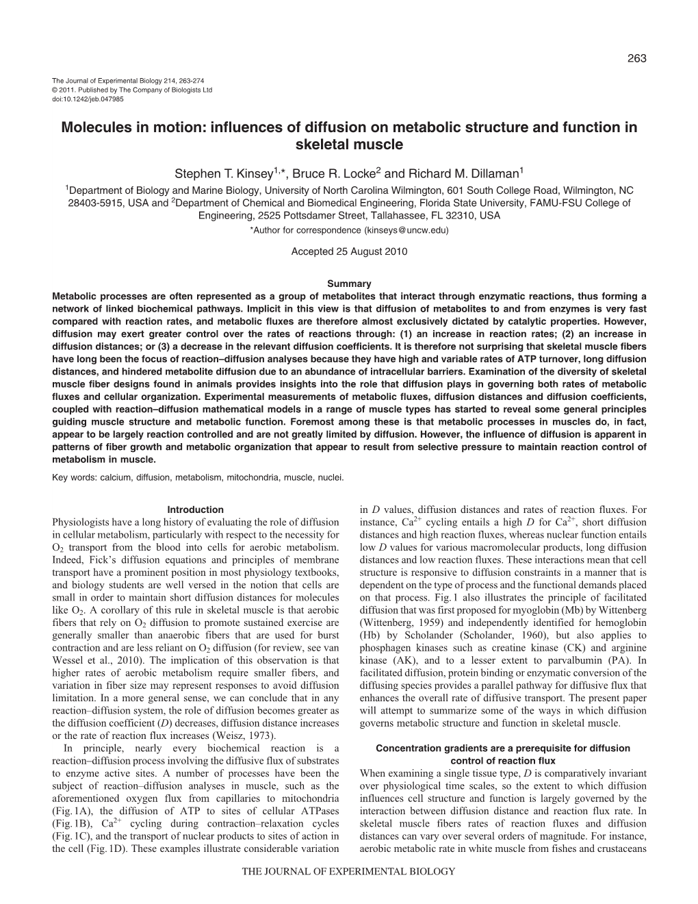 Influences of Diffusion on Metabolic Structure and Function in Skeletal Muscle