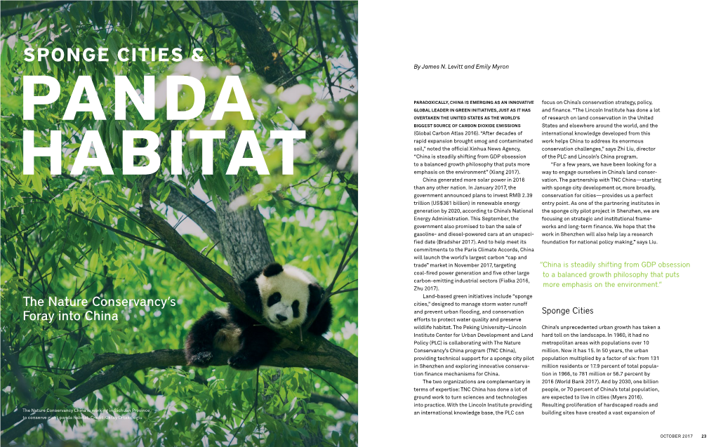 Sponge Cities and Panda Habitat: the Nature Conservancy's Foray Into