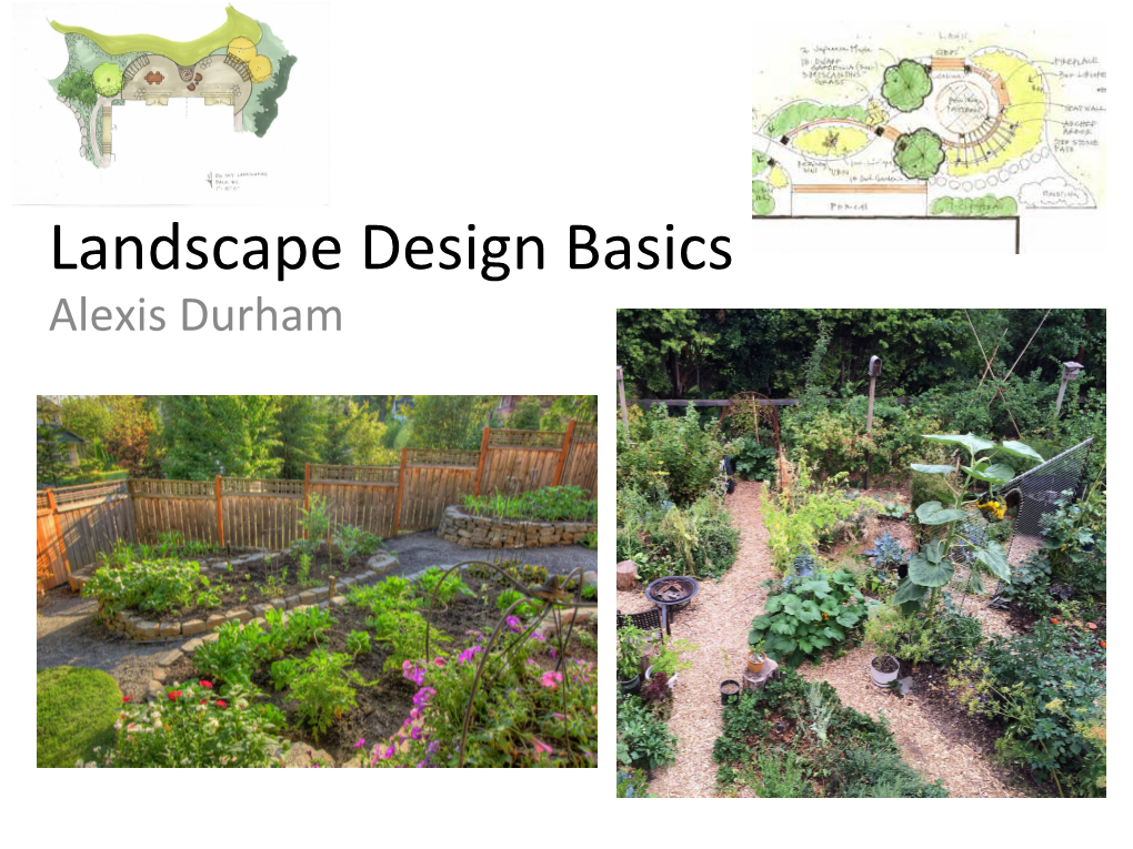 Landscape-Design-Basics.Pdf