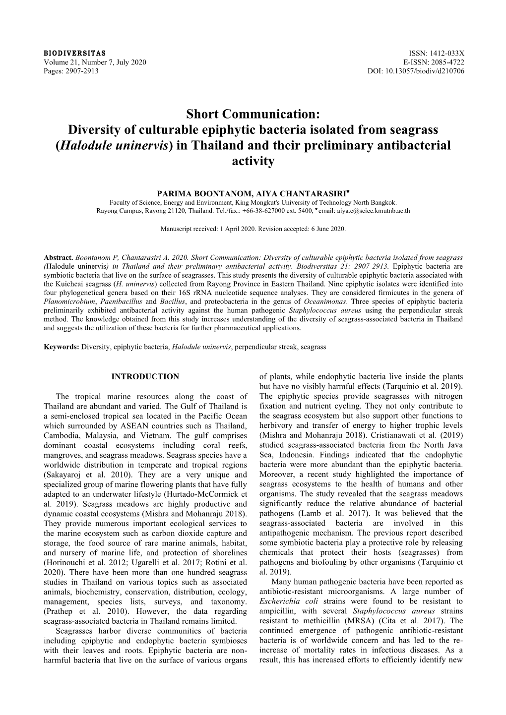 Diversity of Culturable Epiphytic Bacteria Isolated from Seagrass (Halodule Uninervis) in Thailand and Their Preliminary Antibacterial Activity