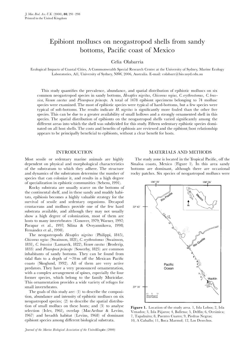 Epibiont Molluscs on Neogastropod Shells from Sandy Bottoms, Pacific