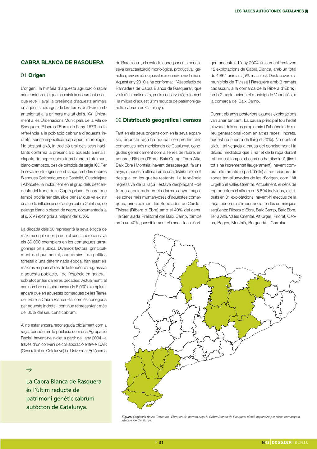 CABRA BLANCA DE RASQUERA De Barcelona–, Els Estudis Corresponents Per a La Gen Ancestral