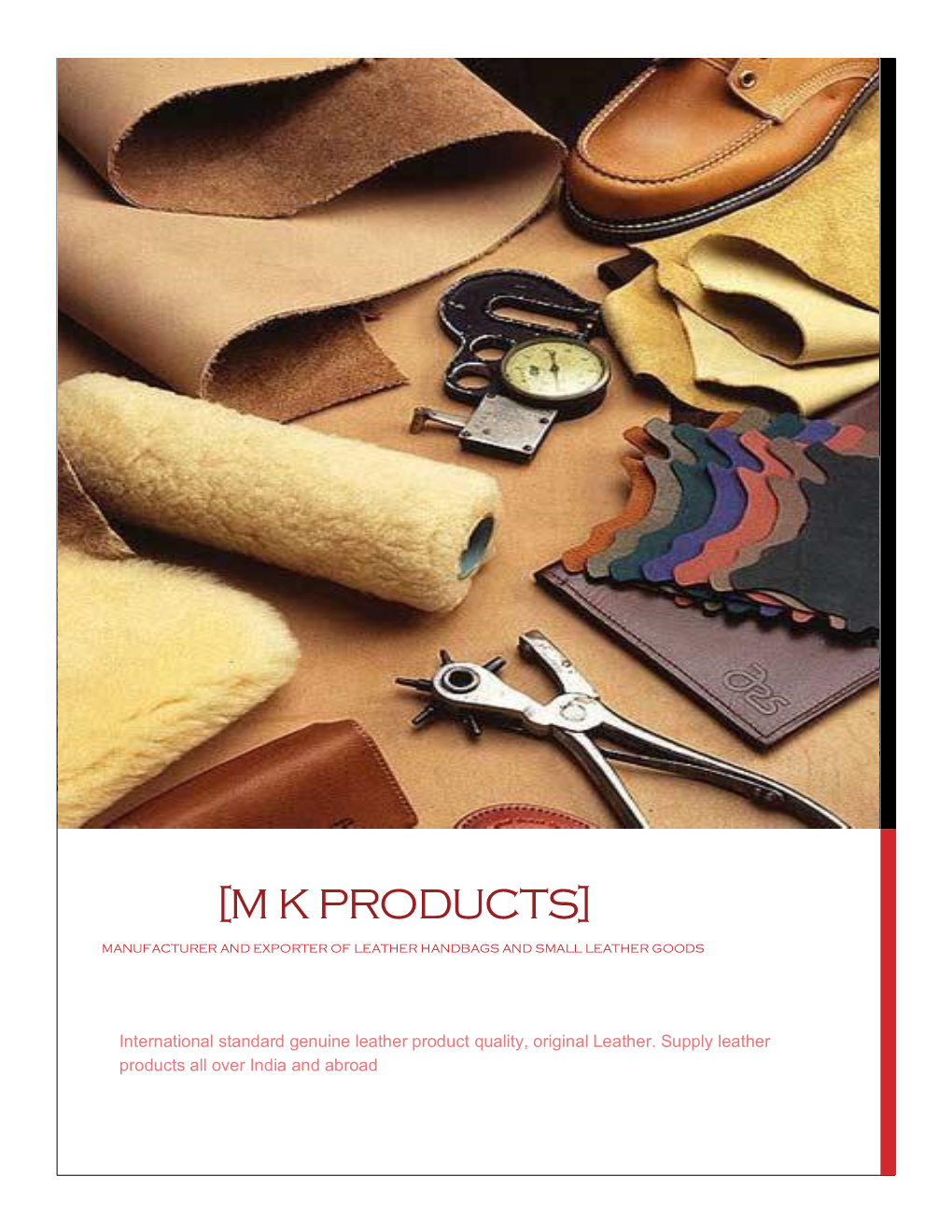 Guniene Leather Supplier