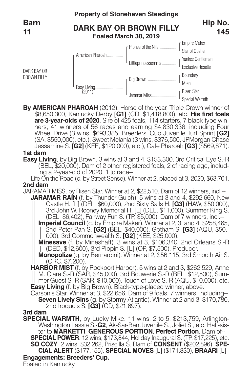 DARK BAY OR BROWN FILLY Barn 11 Hip No