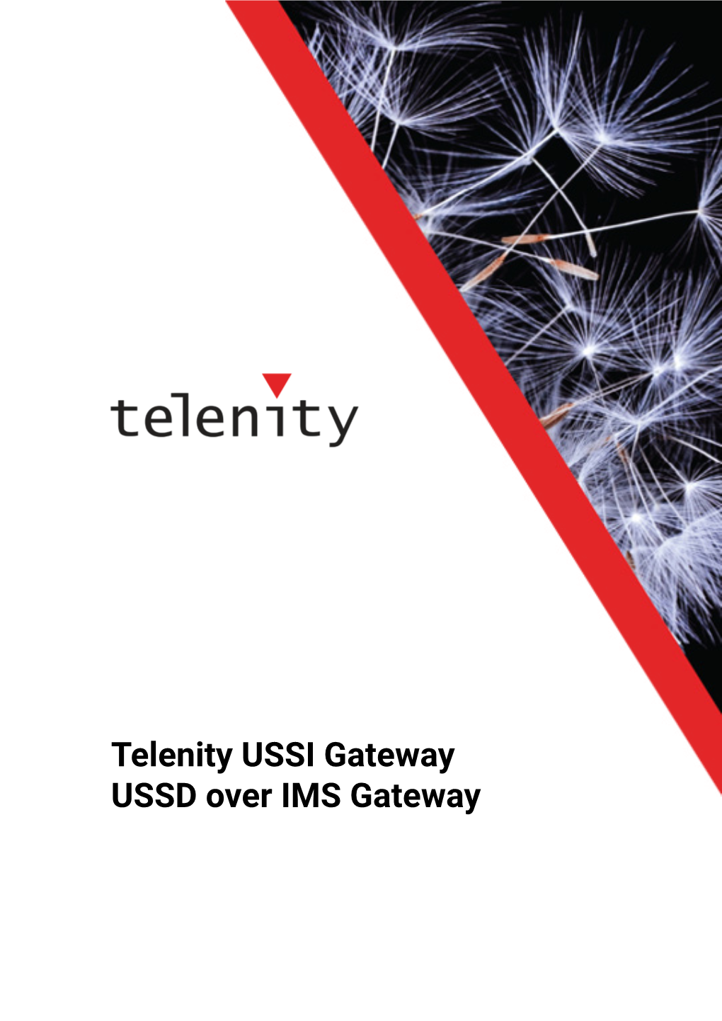 Telenity USSI Gateway USSD Over IMS Gateway