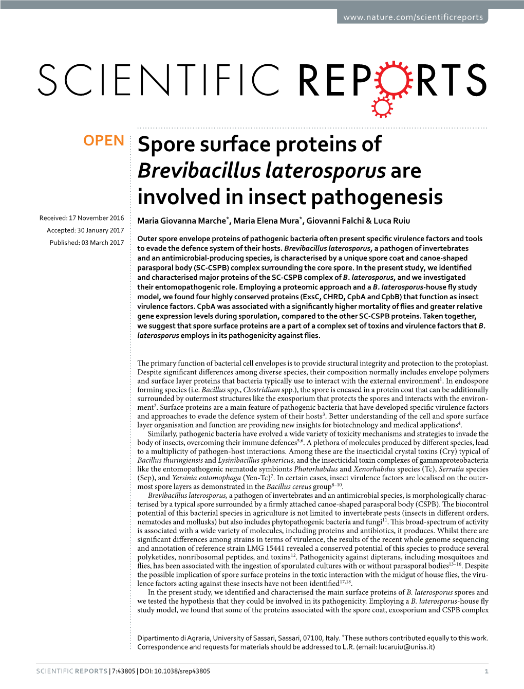Spore Surface Proteins of Brevibacillus Laterosporus Are Involved in Insect