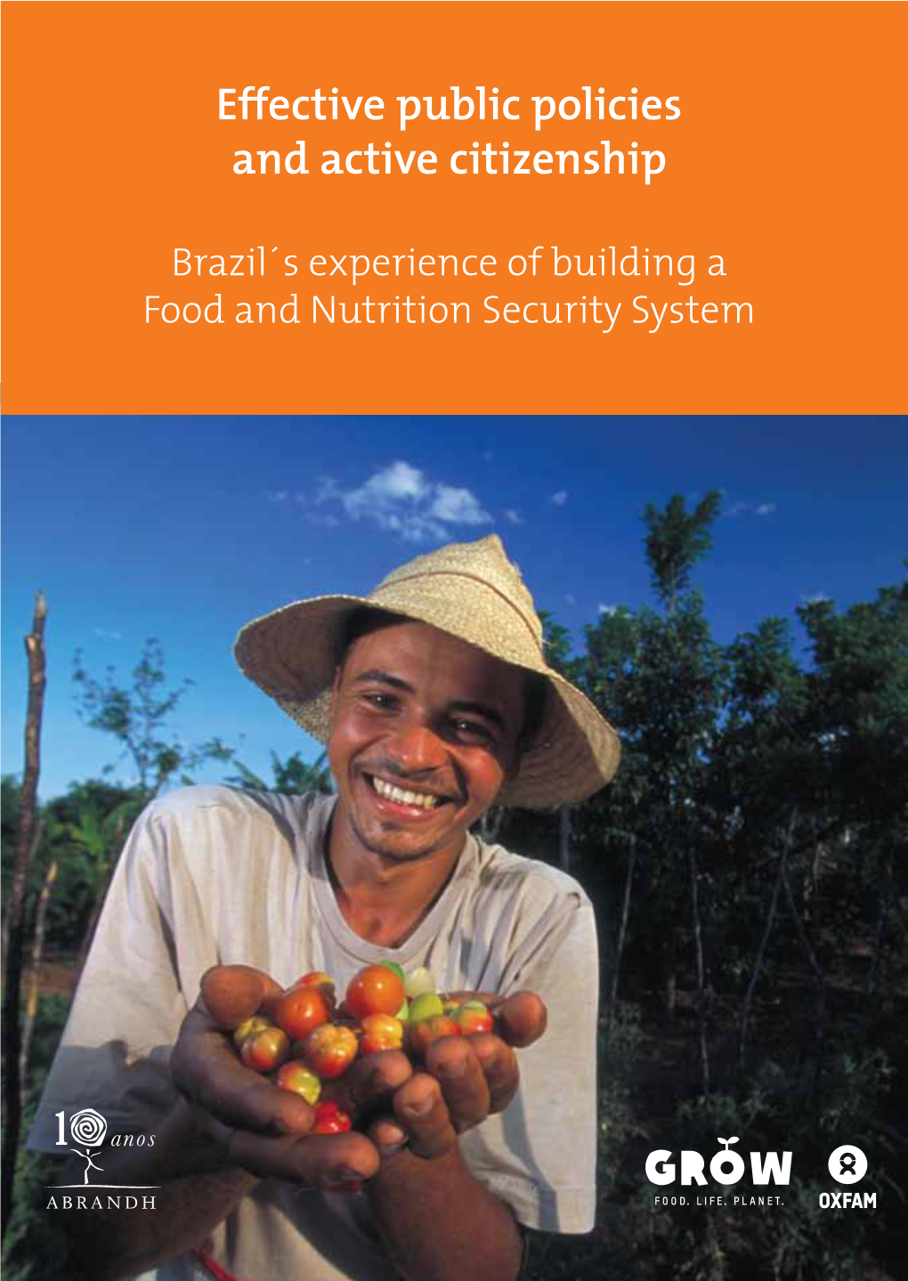 Brazil's Experience of Building a Food and Nutrition