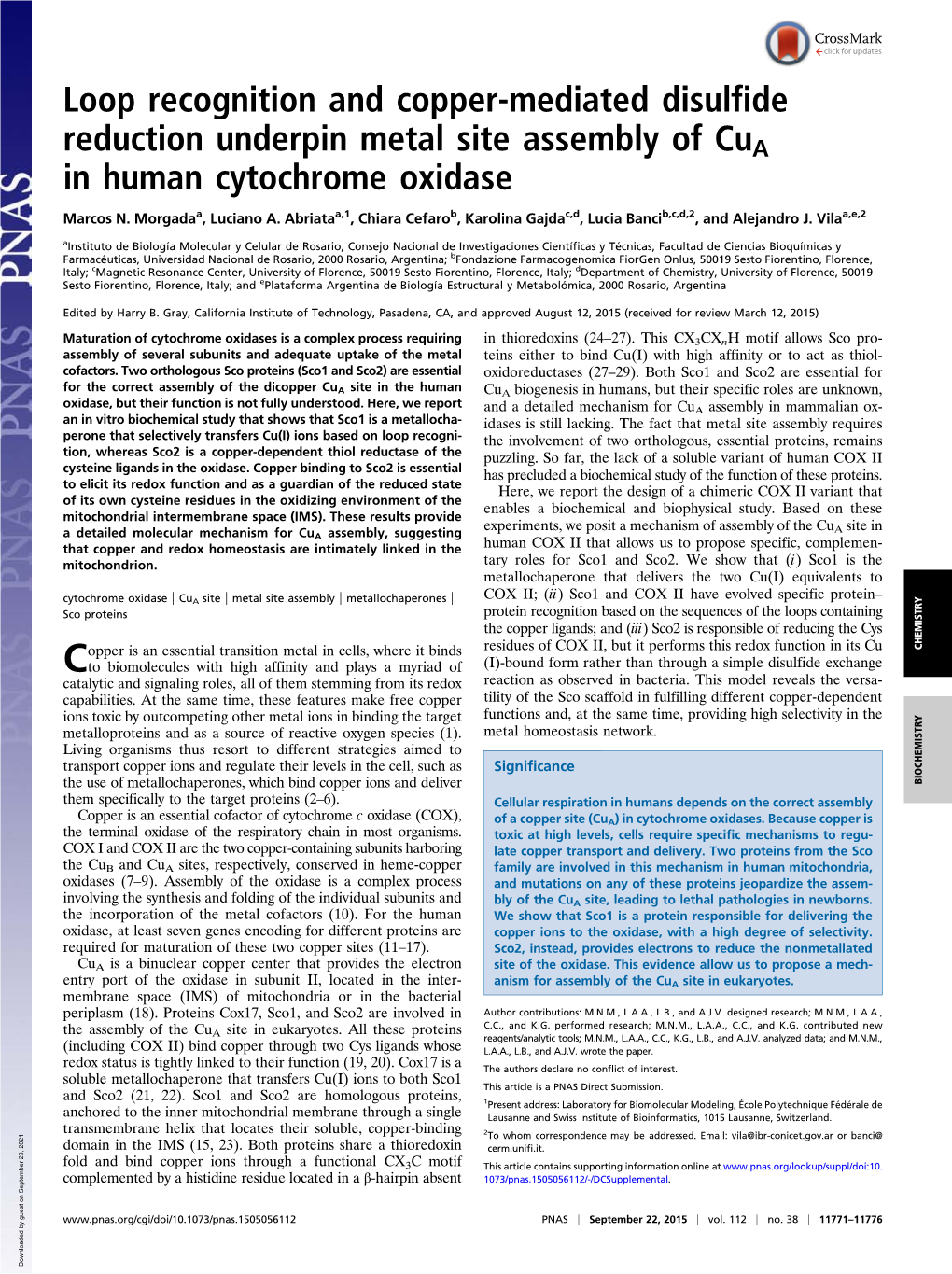 Loop Recognition and Copper-Mediated Disulfide Reduction Underpin Metal Site Assembly of Cua in Human Cytochrome Oxidase