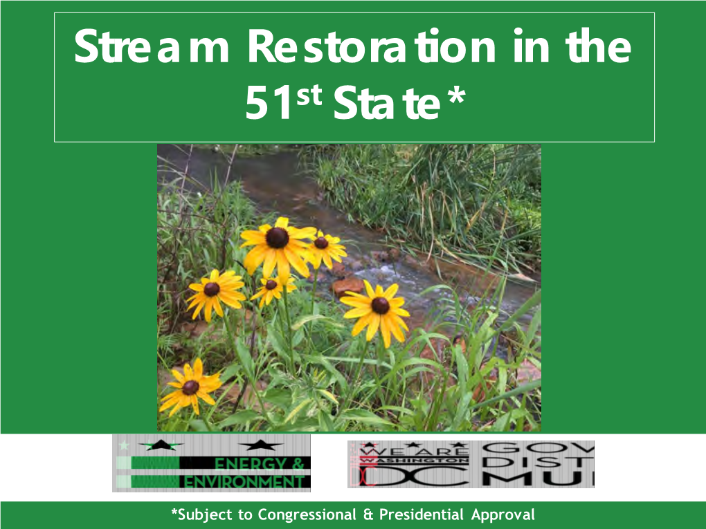 Stream Restoration in the 51St State*