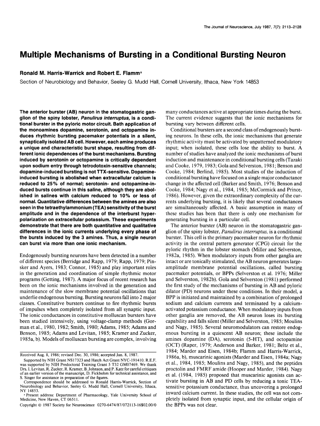 Multiple Mechanisms of Bursting in a Conditional Bursting Neuron