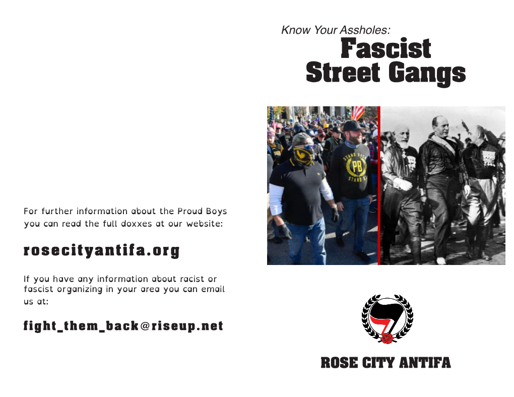 Fascist Street Gangs