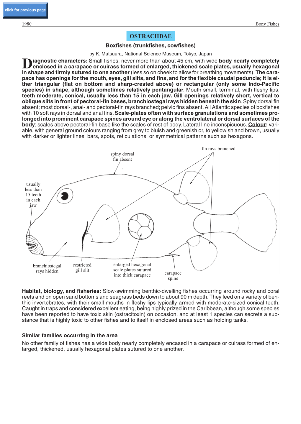 OSTRACIIDAE Boxfishes (Trunkfishes, Cowfishes) by K