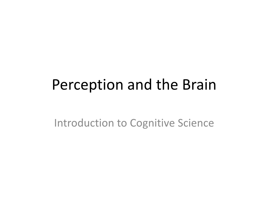 Perception and the Brain