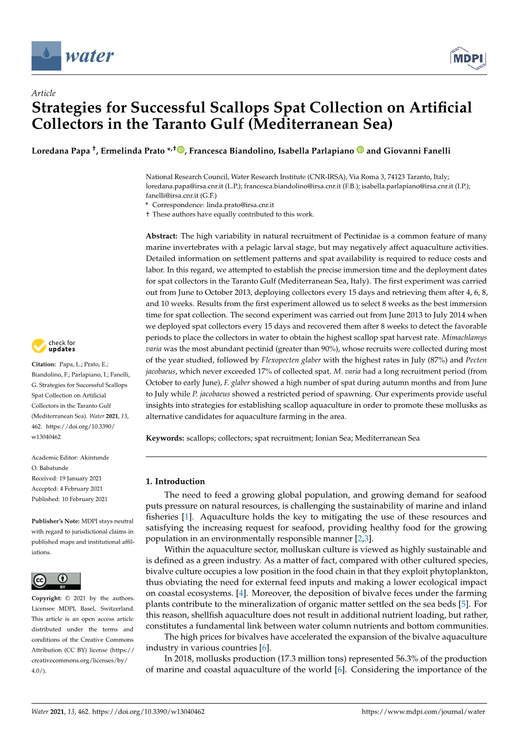 Strategies for Successful Scallops Spat Collection on Artificial