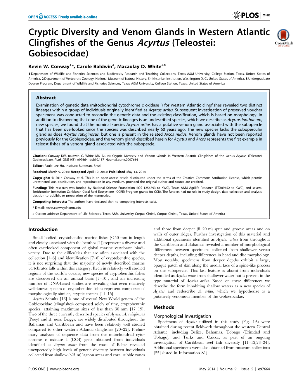 Cryptic Diversity and Venom Glands in Western Atlantic Clingfishes of the Genus Acyrtus (Teleostei: Gobiesocidae)