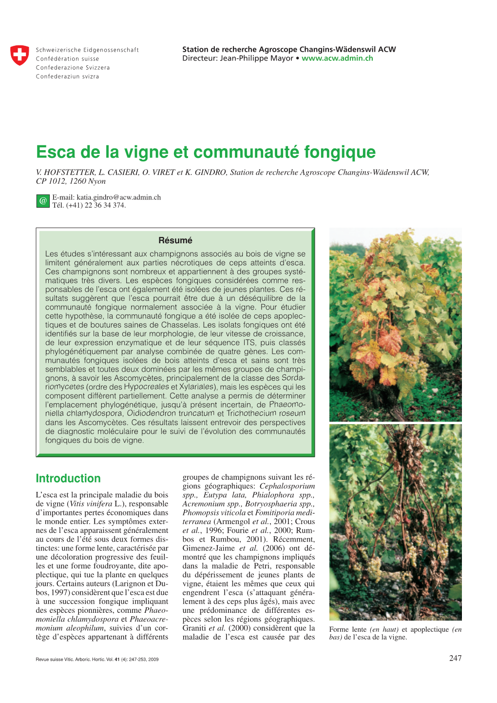 Esca De La Vigne Et Communauté Fongique