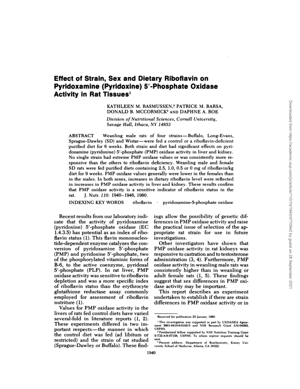 Effect of Strain, Sex and Dietary Riboflavin on Pyridoxamine