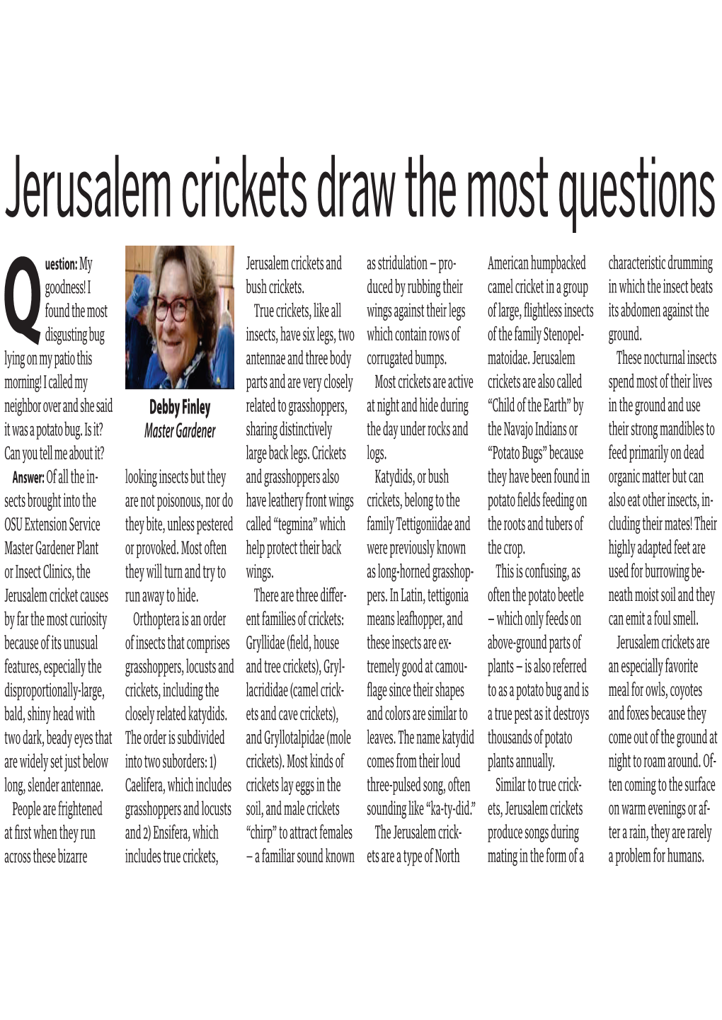 Jerusalem Crickets Draw the Most Questions